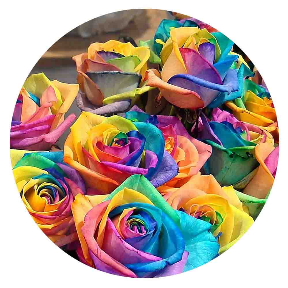 Rainbow Tie Dye Roses Glass Snap - Gracie Roze