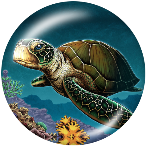 Turtle Ocean Glass Snap - Gracie Roze