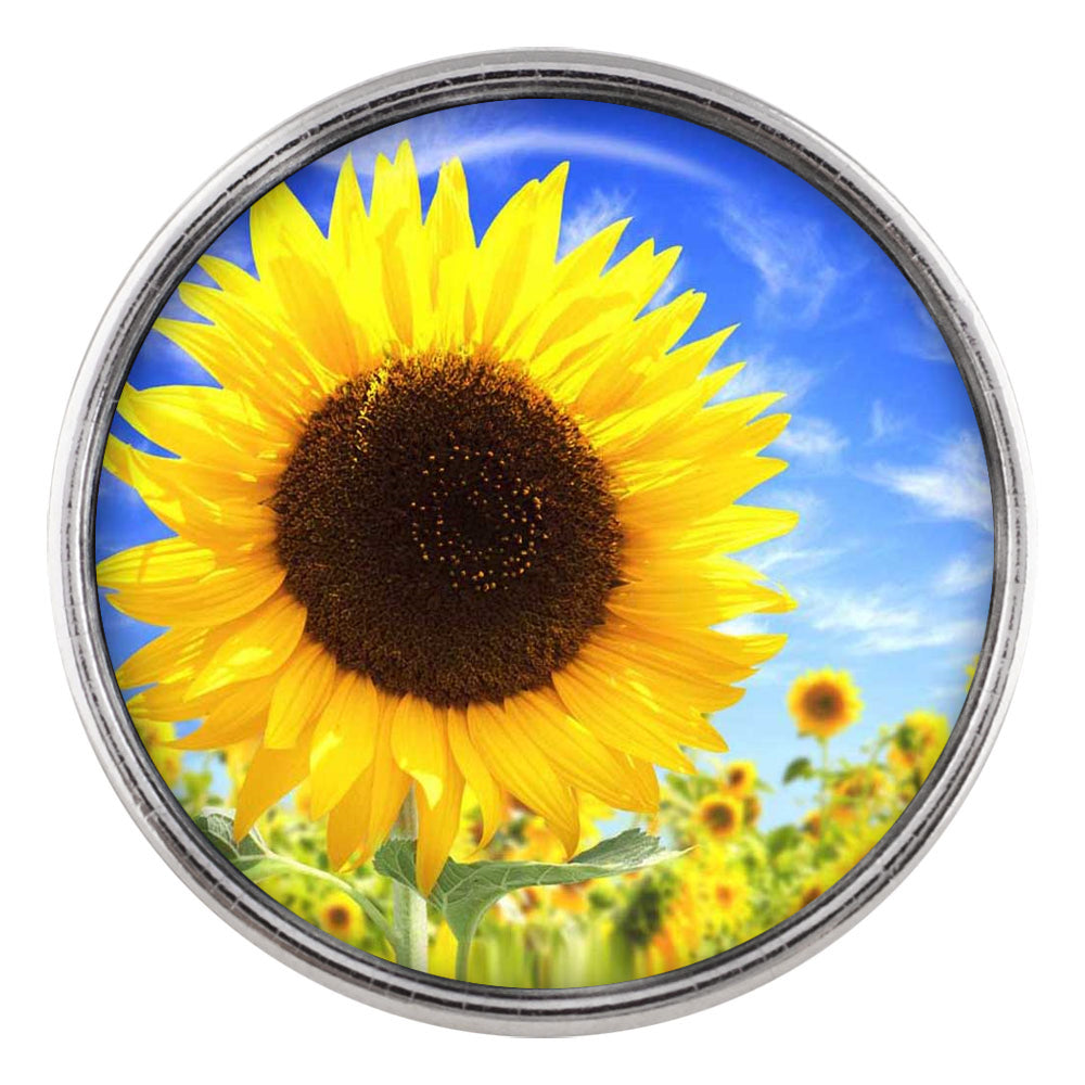 Large Sunflower Field Glass Snap - Gracie Roze