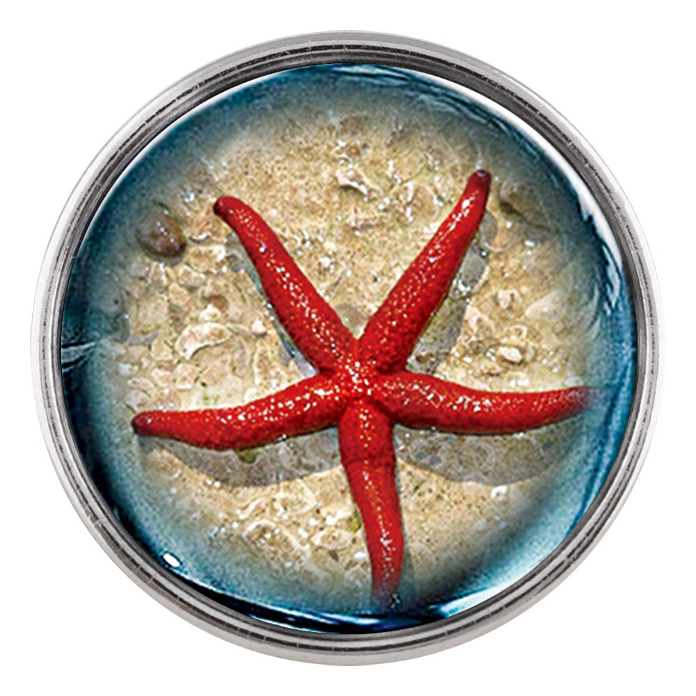 Red Starfish Glass Snap - Gracie Roze