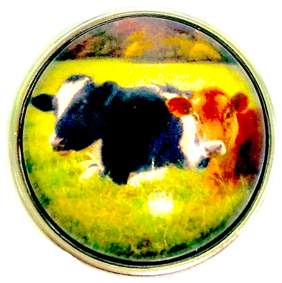 Cows Snap - Gracie Roze