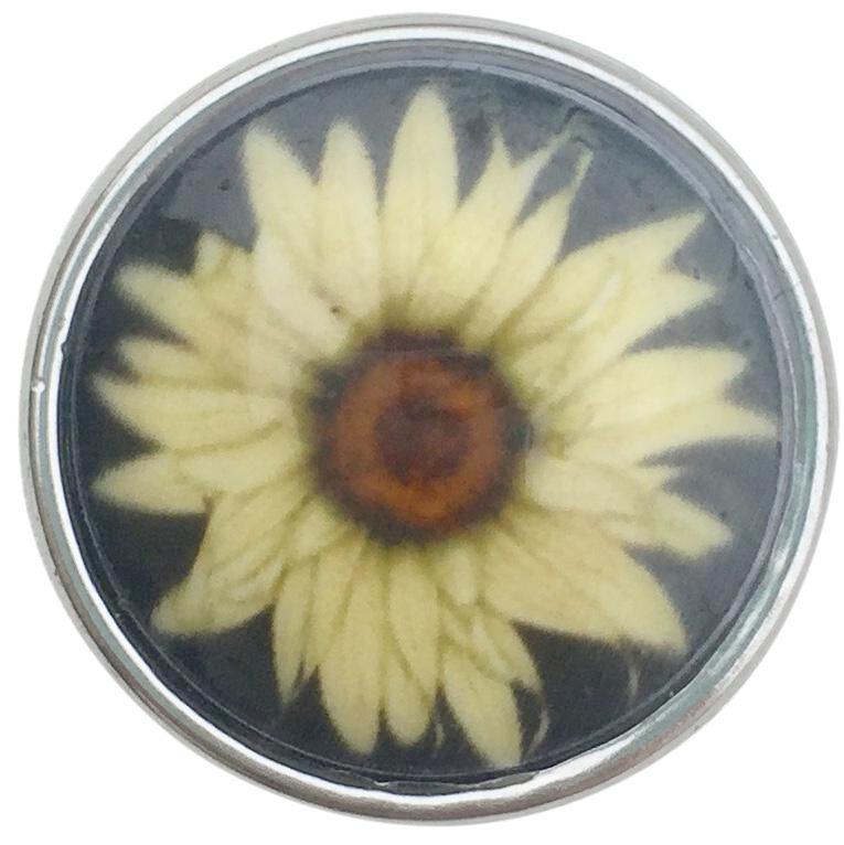 Sunflower Snap - Gracie Roze