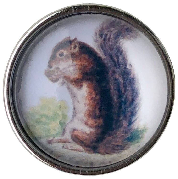 Squirrel Snap - Gracie Roze