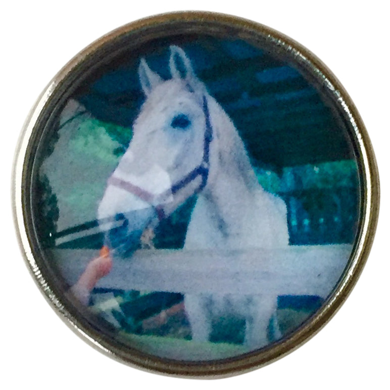 Horse White Fence Snap - Gracie Roze