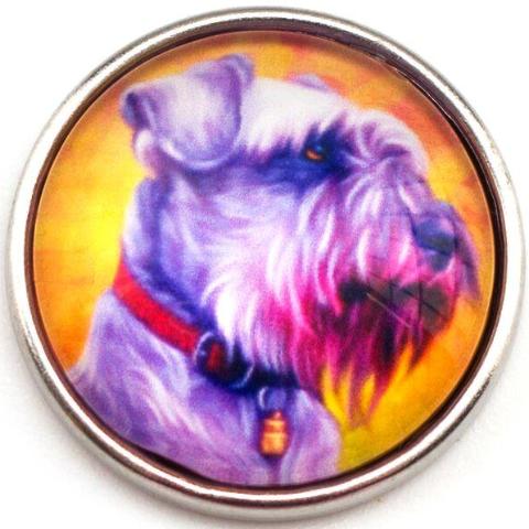Scottish Terrier Snap - Gracie Roze