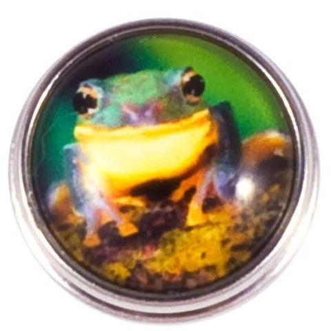 Green Frog Snap - Gracie Roze