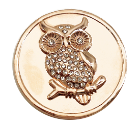 Rose Gold Owl Coin - Gracie Roze