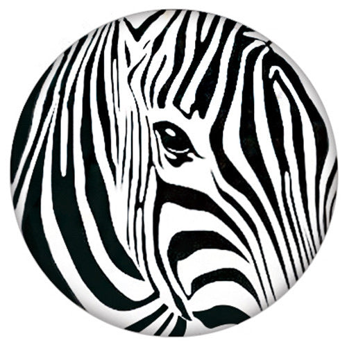 Zebra Eye Standard Snap - Gracie Roze