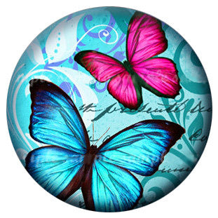 Butterfly Bright Standard Snap - Gracie Roze