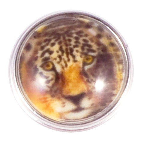 Brown Leopard Yellow Eyes Snap - Gracie Roze