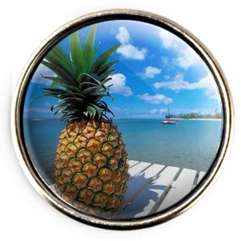 Tropical Pineapple Snap - Gracie Roze