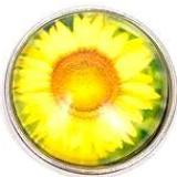 Sunflower Closeup Snap - Gracie Roze