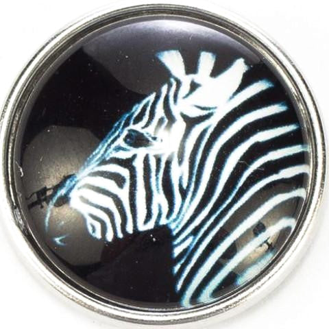 Zebra Snap - Gracie Roze